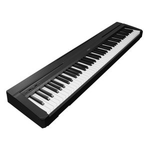  Nord Stage 3 Compact 73-Key Digital Piano with Semi-Weighted  Keybed : Musical Instruments