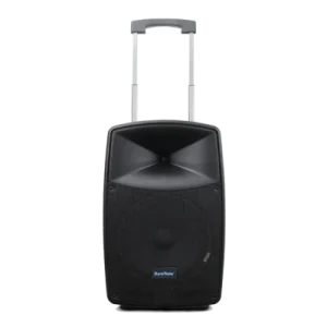 BARETONE MAX 15 HB